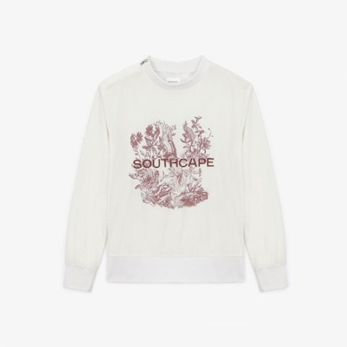 2d62c229ce79d3208e9ae9631e66daa1_1717820722_1255.jpg 2d62c229ce79d3208e9ae9631e66daa1_1717820722_1255.jpg