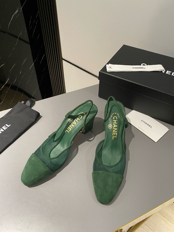 77c4b7a12a69f1433601c84339787a5c_1725116789_1183.JPG 77c4b7a12a69f1433601c84339787a5c_1725116789_1183.JPG