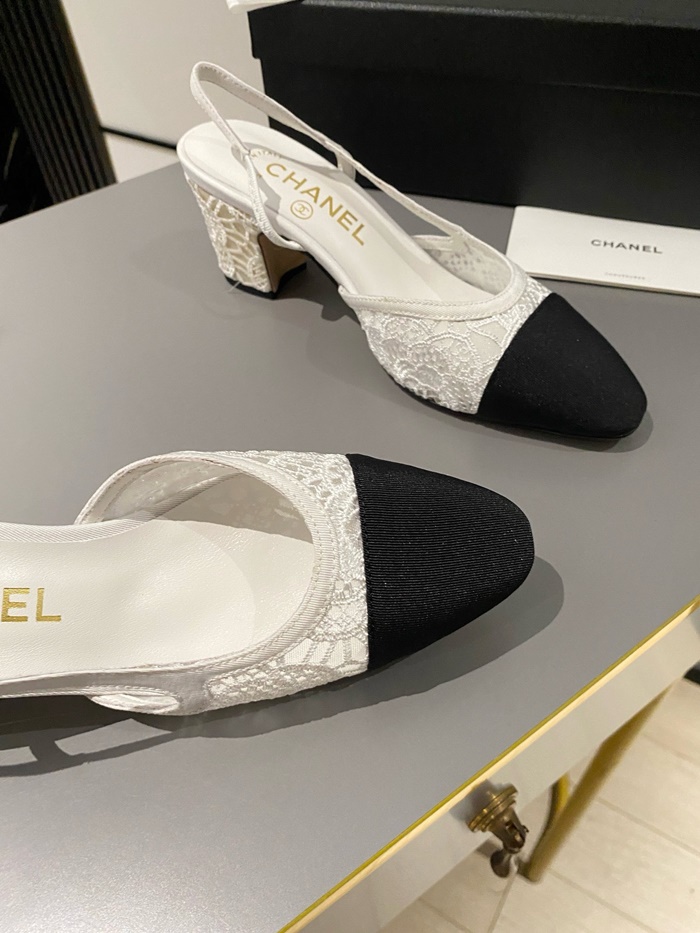 ffd0ef2c3a557ab73adcadec55c61602_1725120163_5794.JPG ffd0ef2c3a557ab73adcadec55c61602_1725120163_5794.JPG