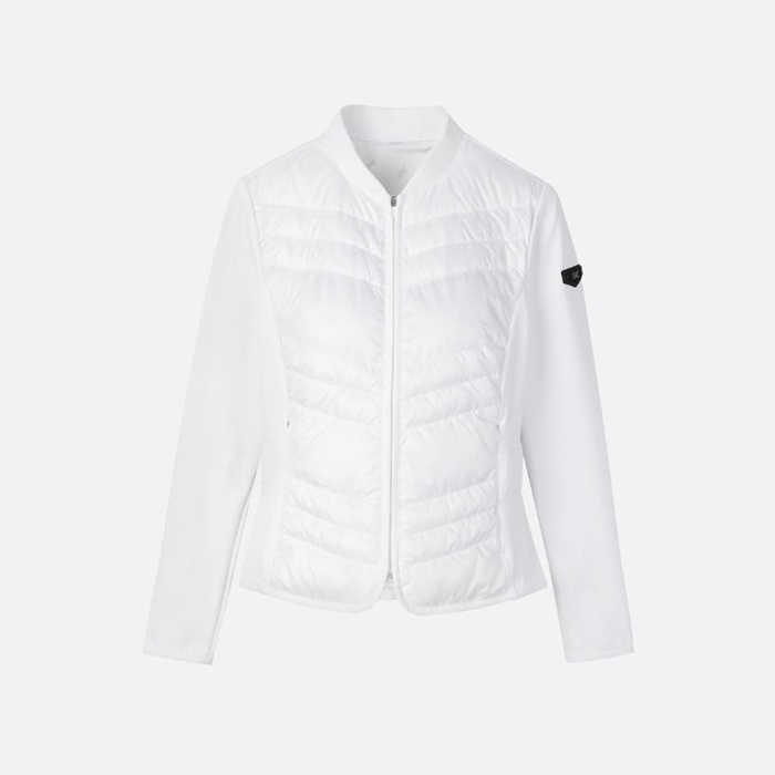 464e98d4d149cbd0c48a9684b24dbea4_1739373235_3828.jpg 464e98d4d149cbd0c48a9684b24dbea4_1739373235_3828.jpg