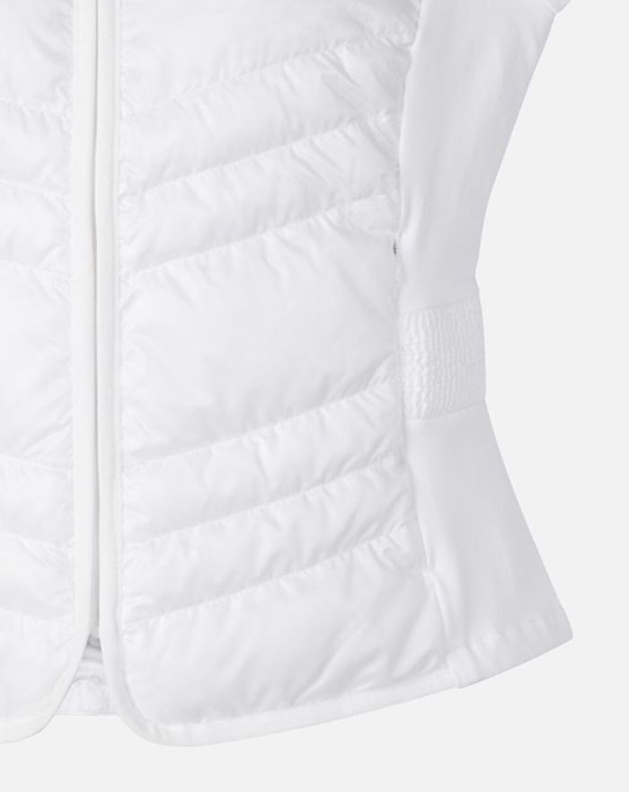 464e98d4d149cbd0c48a9684b24dbea4_1739373237_3393.jpg 464e98d4d149cbd0c48a9684b24dbea4_1739373237_3393.jpg