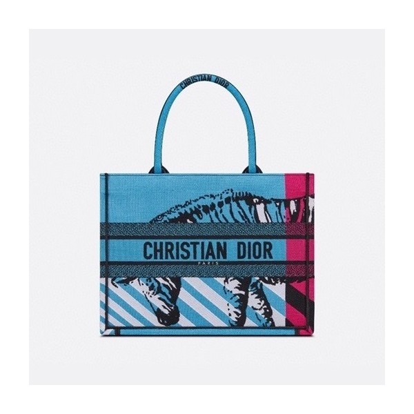 ✨디올 여성 블루 북토트 - Womens Blue Book Tote - dio02065x