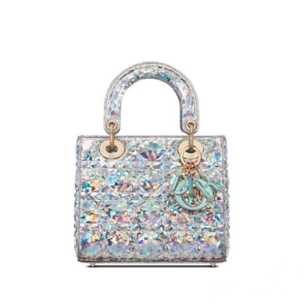 ✨디올 여성 실버 레이디백 - Dior Womens Silver Lady Bag - di99x