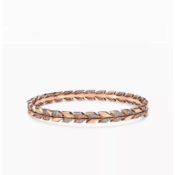 ✨티파니 여성 골드 팔찌 - Tiffany Womens Gold Bangle- acc978x