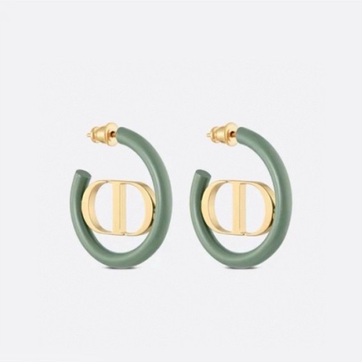 ❤디올 여성 골드 이어링 - Dior Womens Gold Earring - acc1291x