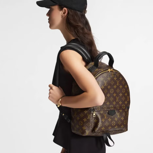 ★루이비통 여성 팜 스프링스 MM 백팩 M44874 - Louis vuitton Mens Brown Palm Spring MM - lvb68x