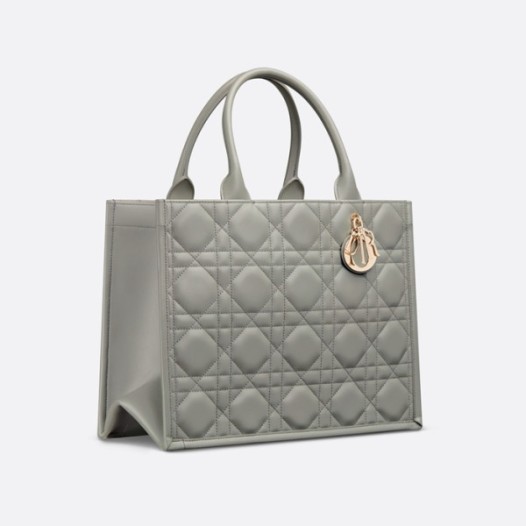 ❤디올 여성 그레이 토트백 - Dior Womens Gray Tote Bag - dib552x