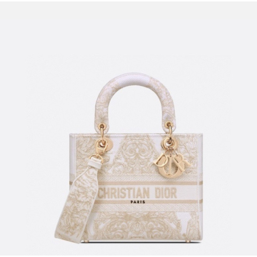 ❤디올 여성 실버 레이디 백 - Dior Womens Sillver Lady Bag - dib730x
