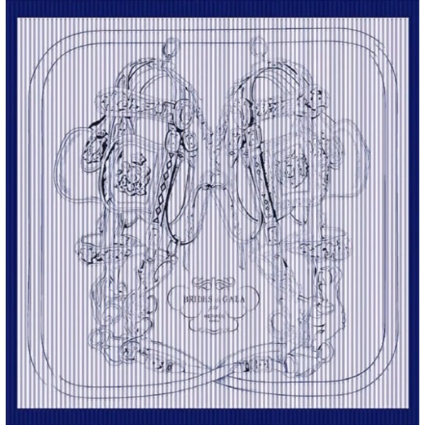 ✨에르메스 여성 네이비 스카프 - Hermes Womens Navy Scarf - acc1795x