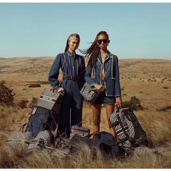 ✨디올 남/녀 오블리크 네이비 캐리어 - Dior Unisex Oblique Navy Carrier - dic107x