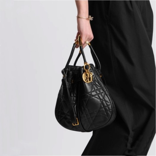 ❤디올 여성 노리타 미디엄 백 M2312 - Dior Womens Nolita Medium Bag - dib2020x