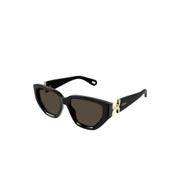 ✨끌로에 여성 이니셜 선글라스 - Chloe Womens Sunglasses - acc4331x