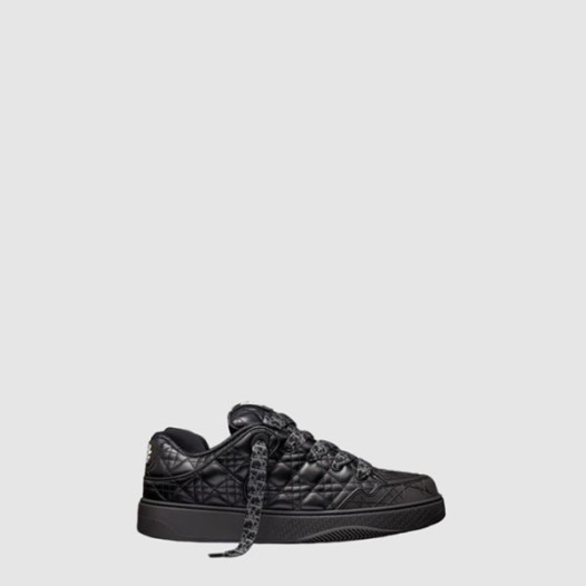 ❤디올 남성 B9S 스케이터 스니커즈 - Dior Mens B9S Skater Sneakers - dis7535x