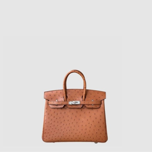 ❤에르메스 여성 25 버킨백 - Hermes Womens Birkin Bag - heb11481x