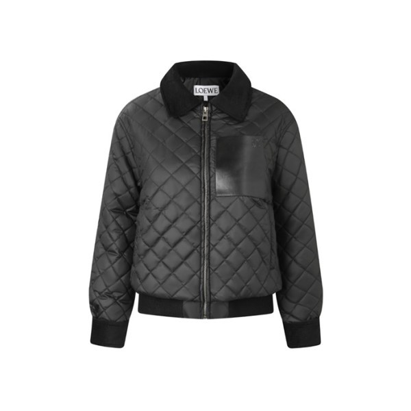 ✨로에베 여성 다운 자켓 - Loewe Womens Down Jacket - loc9741x