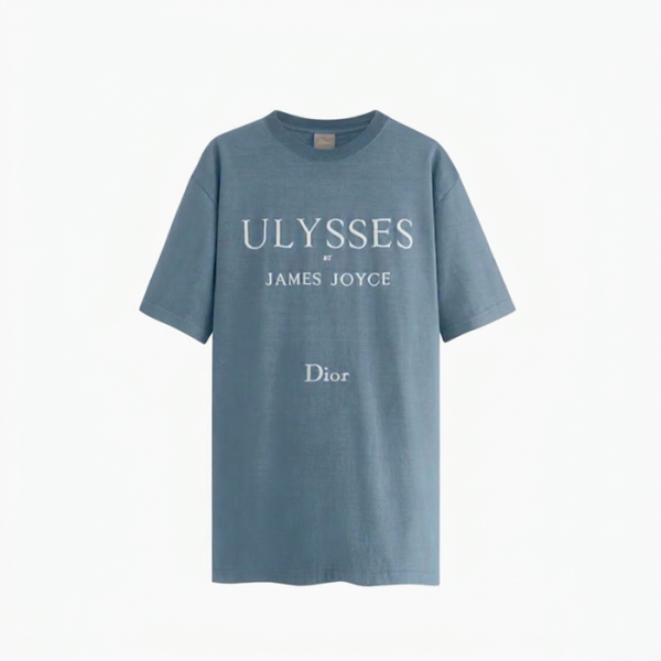 ✨디올 남성 라운드 반팔 티셔츠 - Dior Mens Round Tshirt - dic13732x