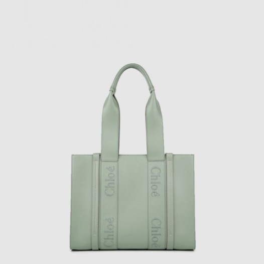 ✨끌로에 여성 우디 미듐 토트 백 - Chloe Womens Woody Medium Tote Bag - chb15079x