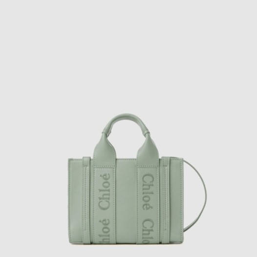 ✨끌로에 여성 우디 스트랩 토트 백 스몰 - Chloe Womens Woody Strap Tote Bag Small - chb15084x